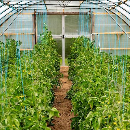 Mothir Joerth Organic Farm Guesthouse In Vallanes Extérieur photo