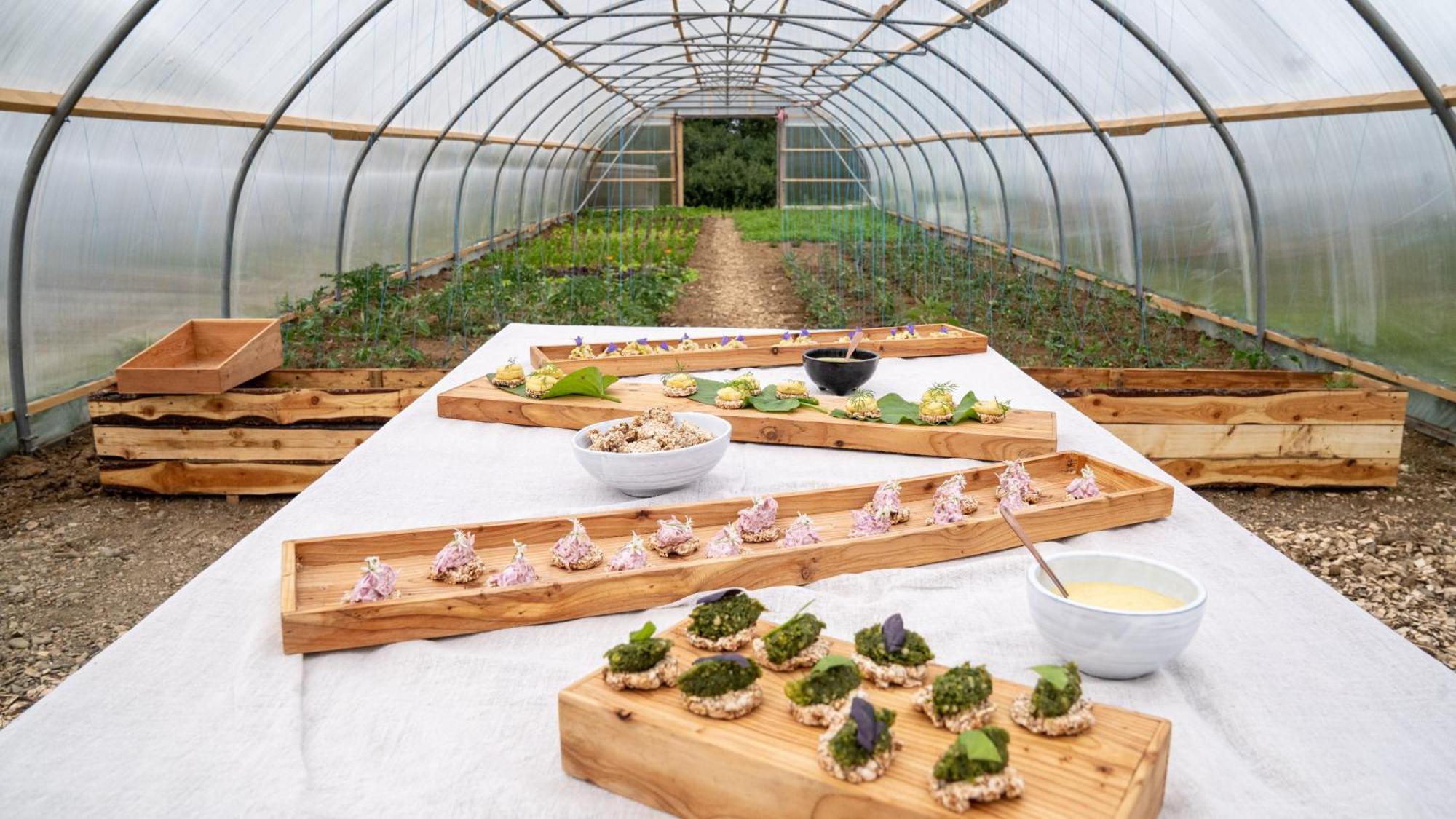 Mothir Joerth Organic Farm Guesthouse In Vallanes Extérieur photo