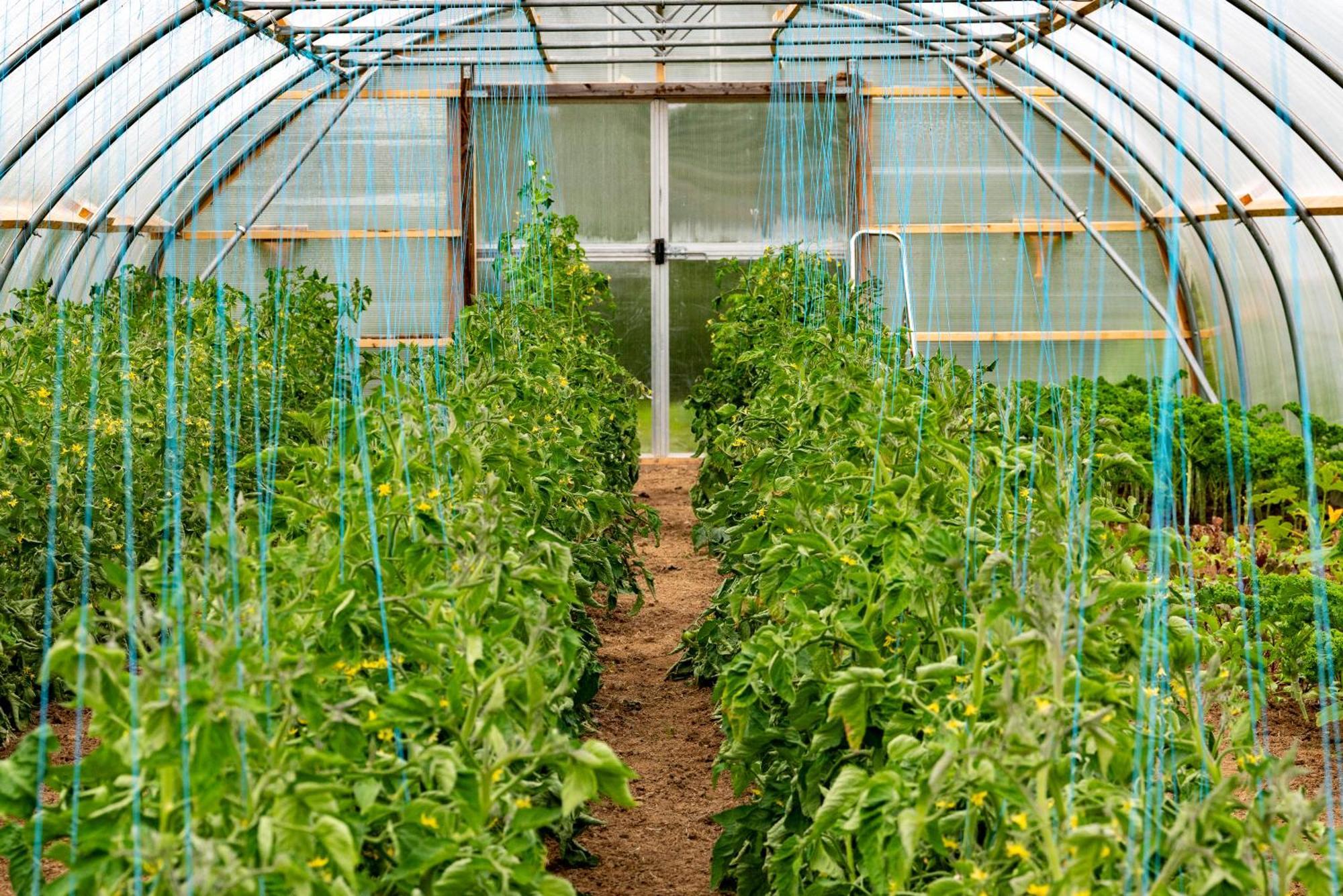 Mothir Joerth Organic Farm Guesthouse In Vallanes Extérieur photo