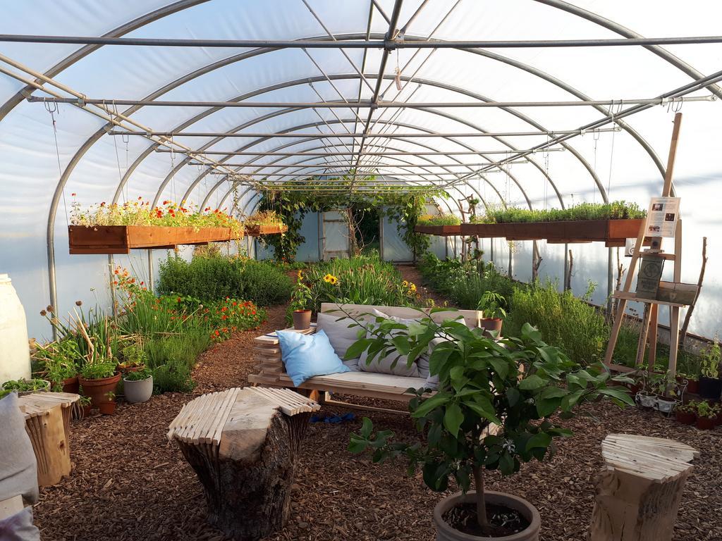 Mothir Joerth Organic Farm Guesthouse In Vallanes Extérieur photo